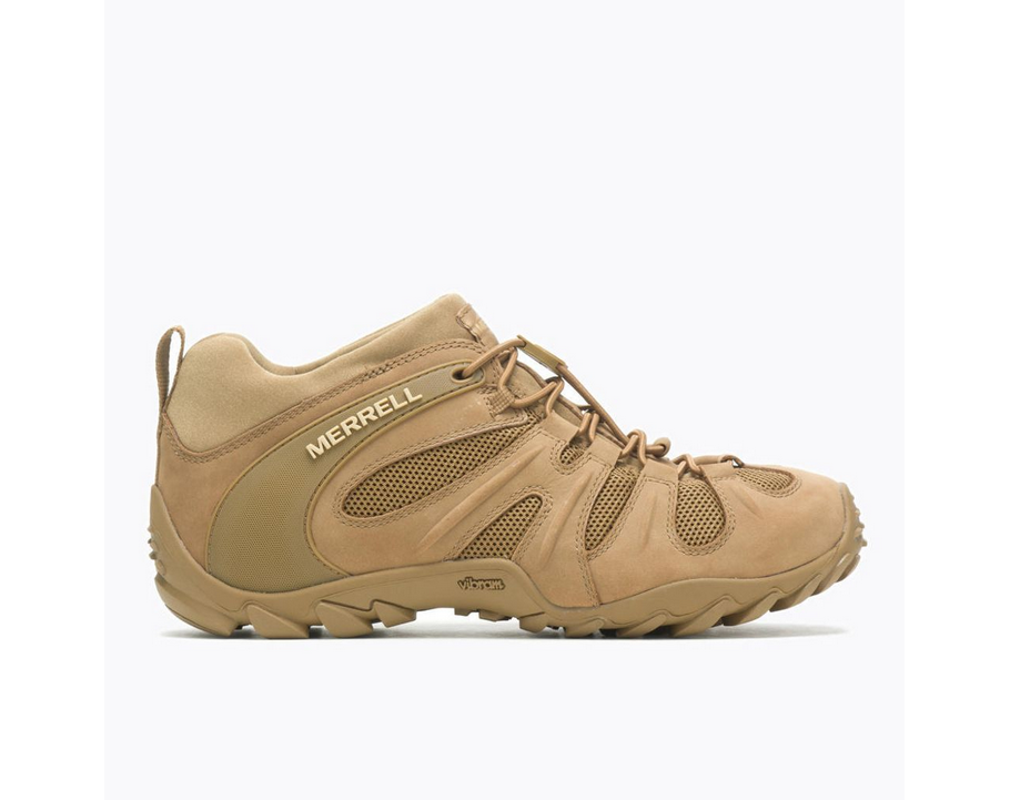 Men's Chameleon 8 Stretch Tactical Work Shoe