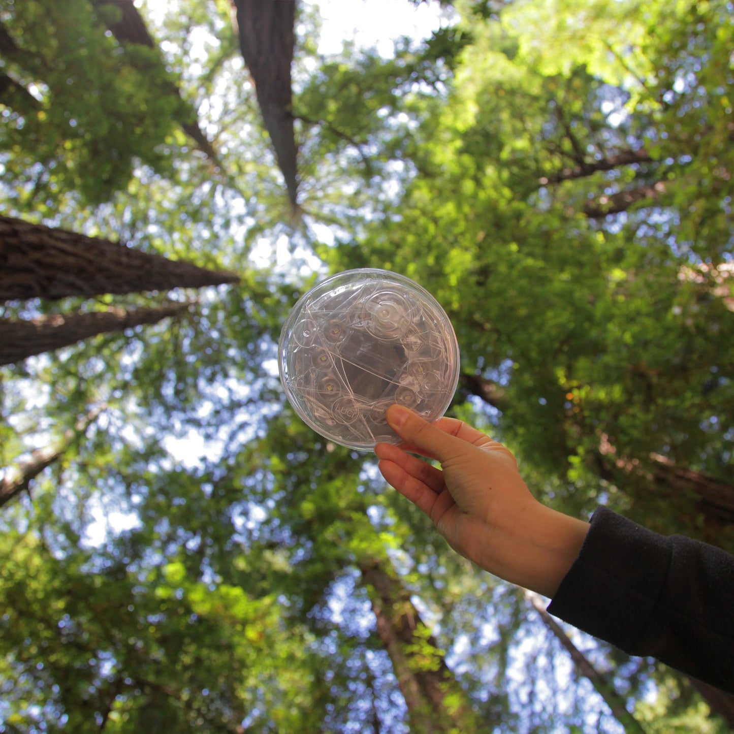 LUCI INFLATABLE SOLAR LANTERN + POWER HUB: LUX PRO