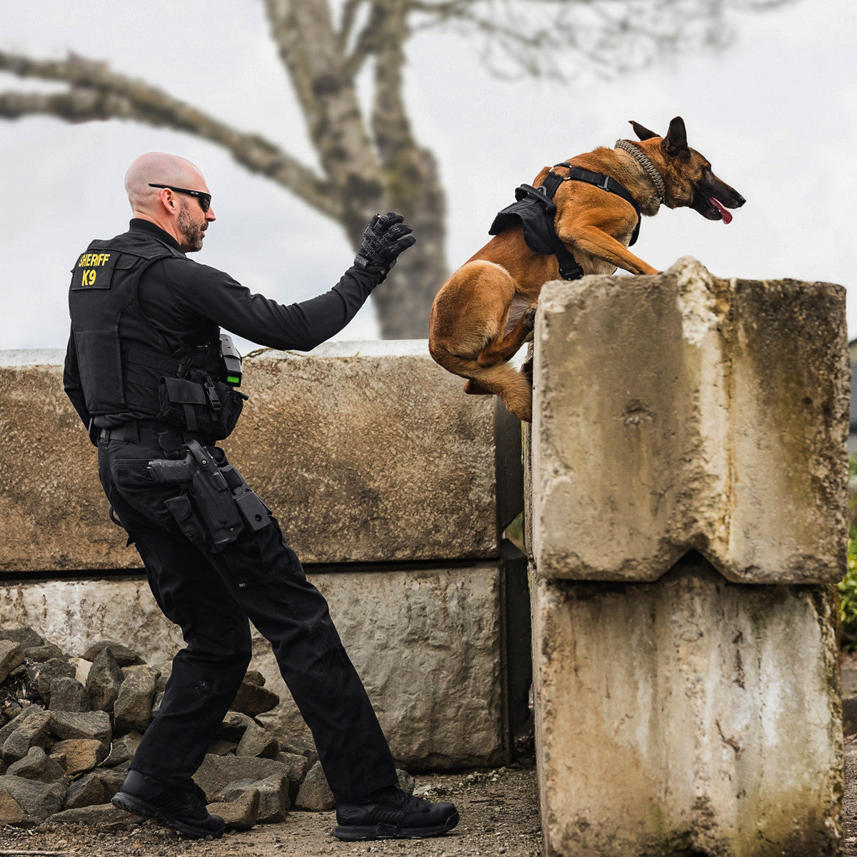 Striker Bolt 4.5" Black