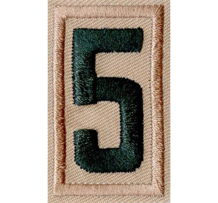 Scouts BSA Unit Numeral