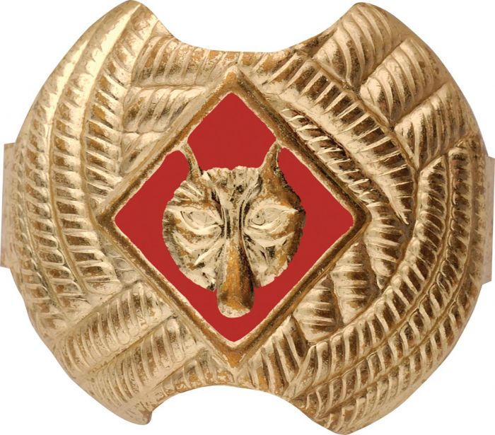 Cub Scout Wolf Rank Neckerchief Slide