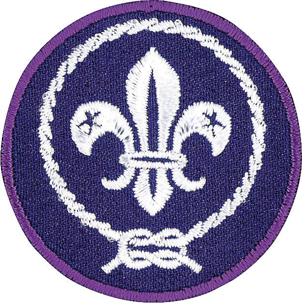 World Crest Scout Emblem