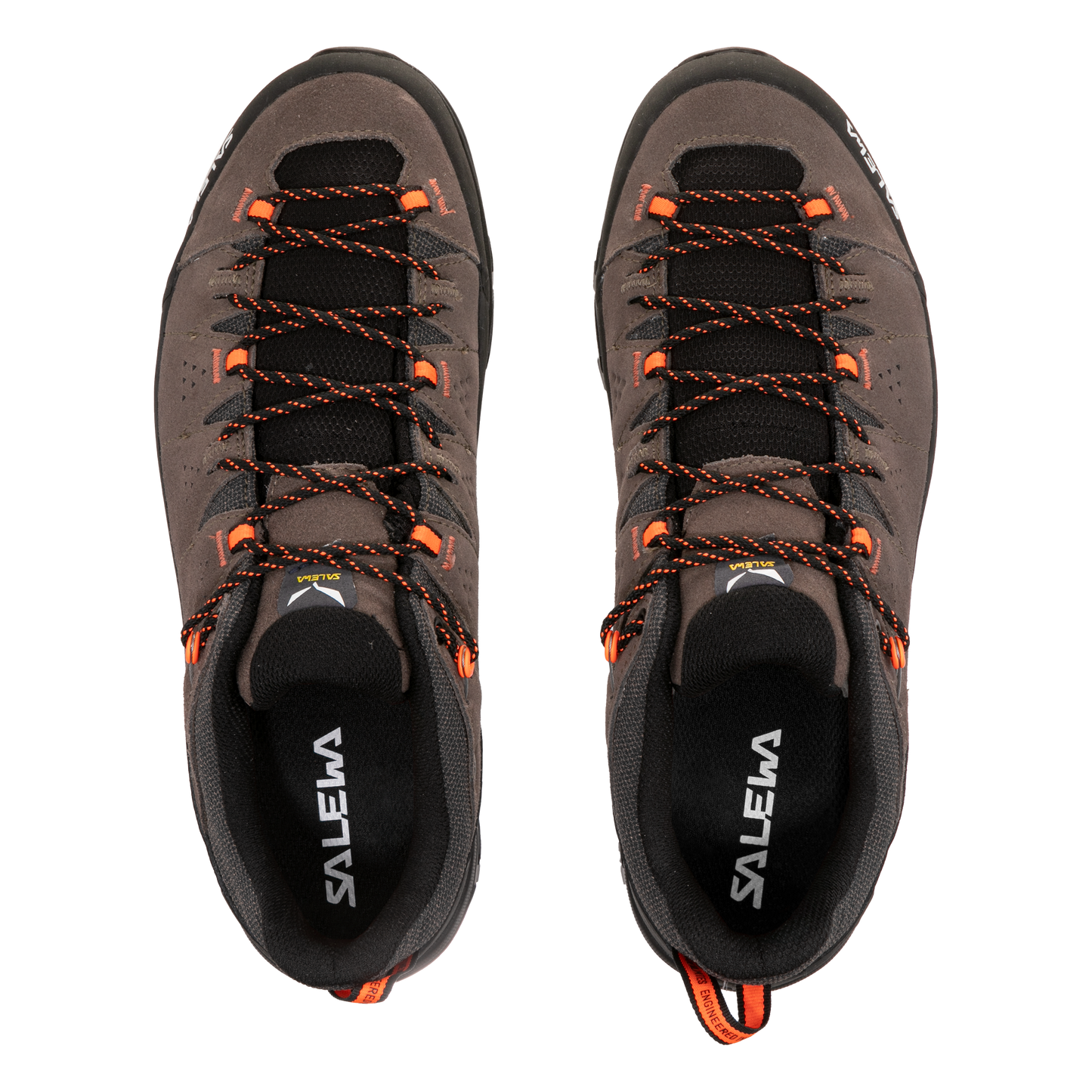 Alp Trainer 2 Shoe Men