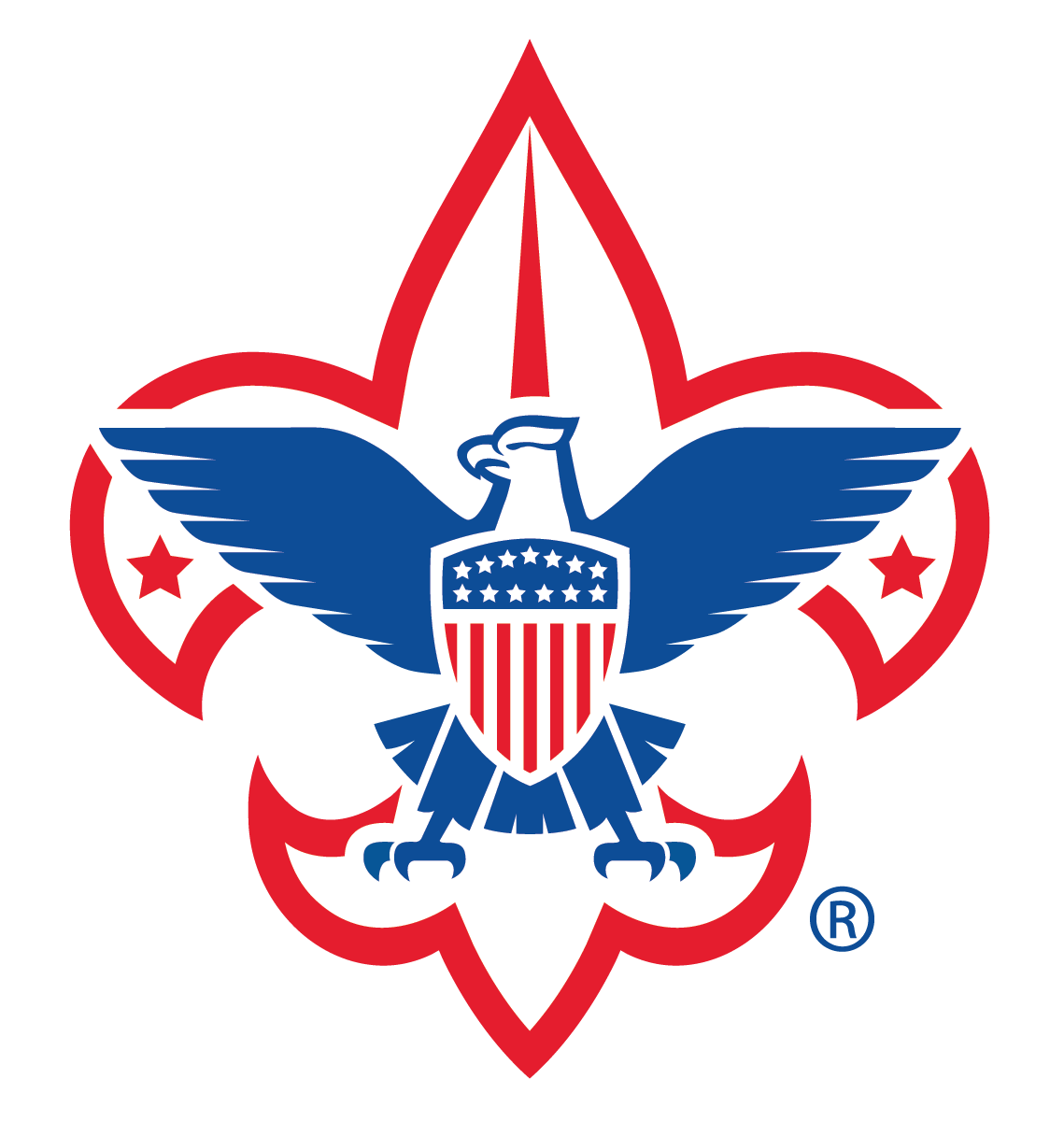 National Capital Council Shoulder Patch