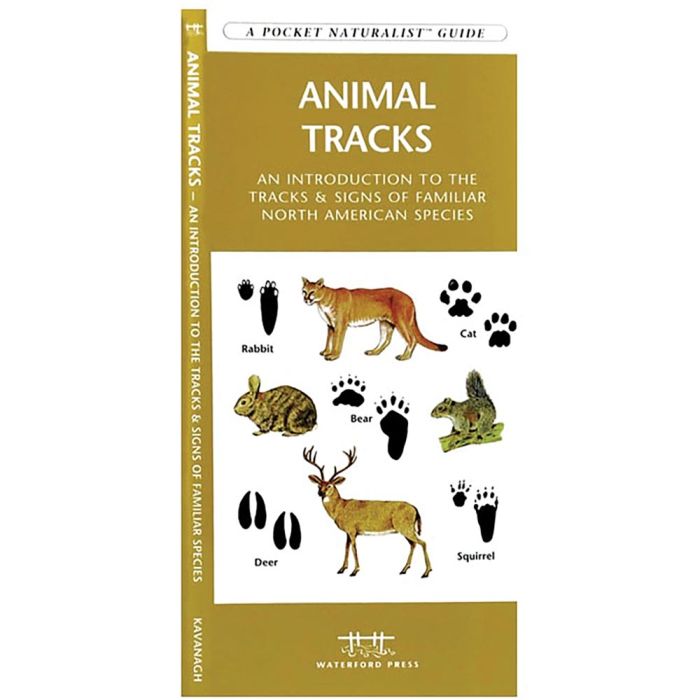 ANIMAL TRACKS