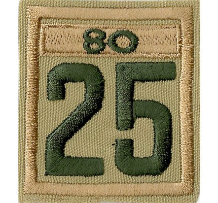 Two-digit Custom Unit Numeral with Veteran Bar
Troop 55, Veteran Bar 35