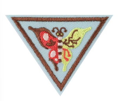 Brownie Create and Innovate Badge