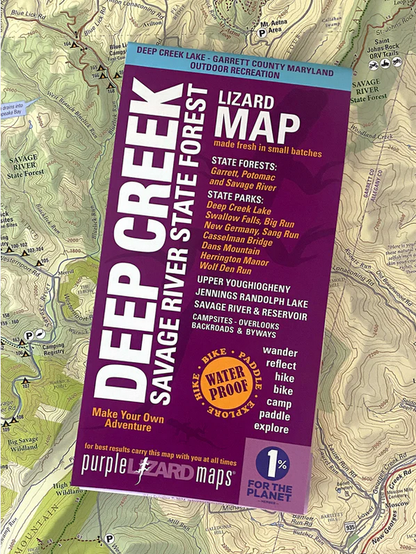 Deep Creek - Savage River State Forest: Maryland