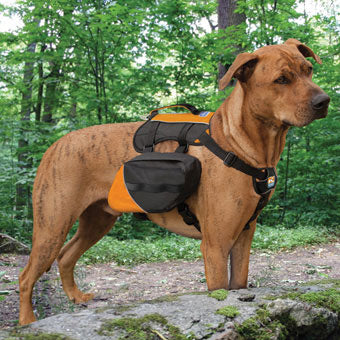 KURGO BIG BAXTER PACK BLK/ORNG