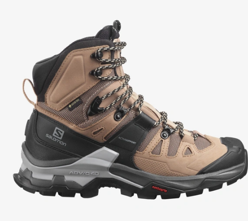 SHOES QUEST 4D GTX W