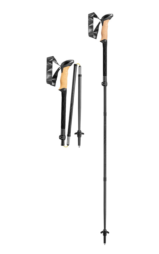 BLACK SERIES FX CARBON-SINGLE POLE