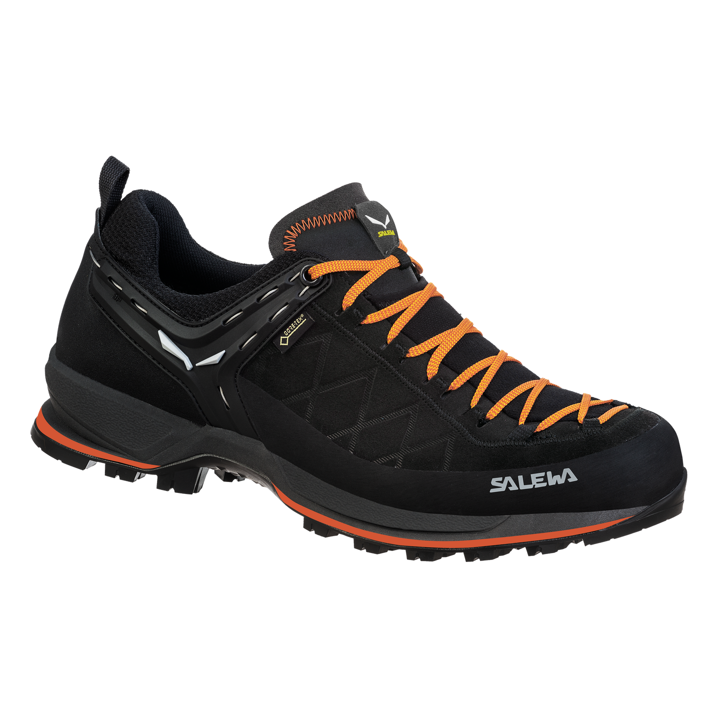 Mountain Trainer 2 GORE-TEX® Men's Shoes