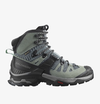 SHOES QUEST 4D GTX W