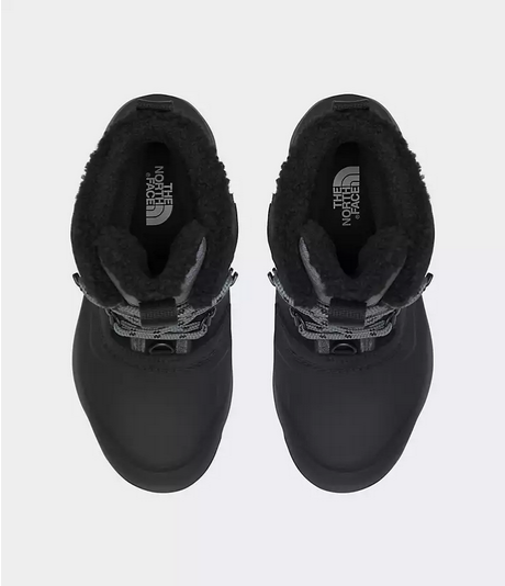 Women's Chilkat V 400 WP
