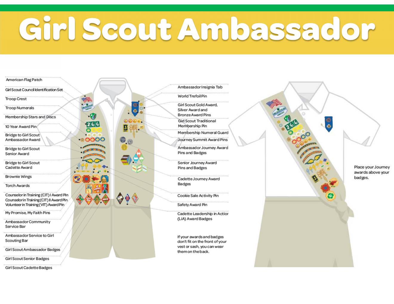 Junior, Cadette, Senior, Ambassador Troop Numerals