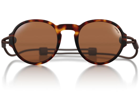 Viale | Regular Size | Tortoise | Polarized Brown