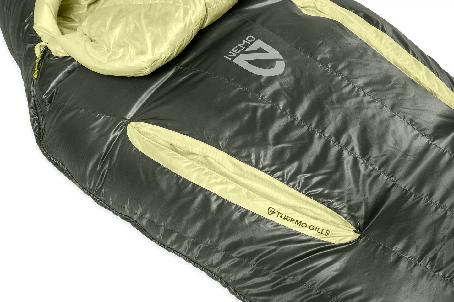 Disco Women's Endless Promise® Down Sleeping Bag 15℉ - Regular
