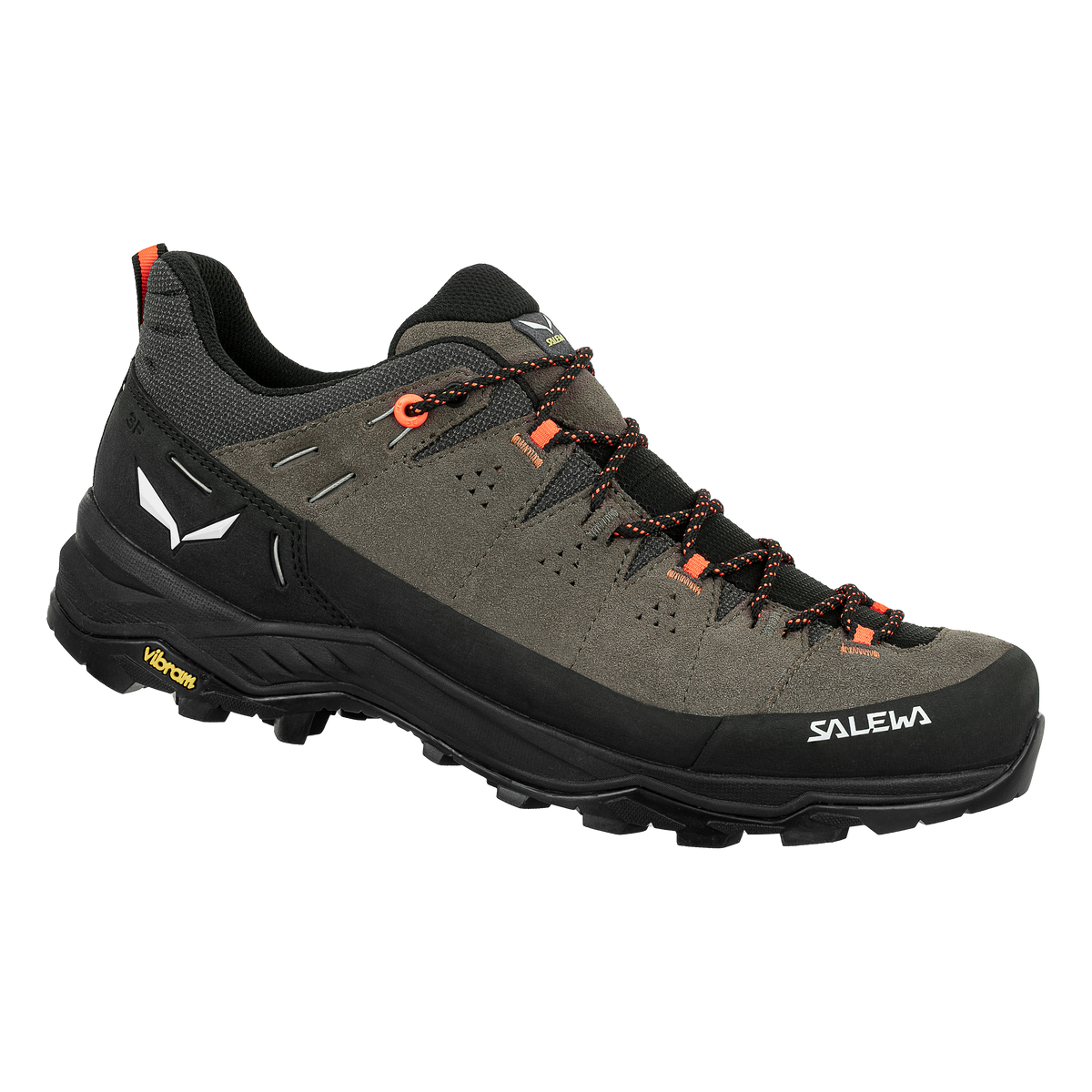 Alp Trainer 2 Shoe Men