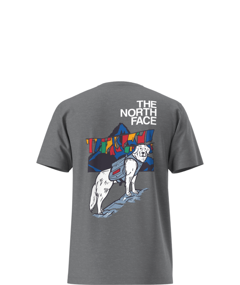 Men's Sunlit Summit Regular Short-Sleeve Tee