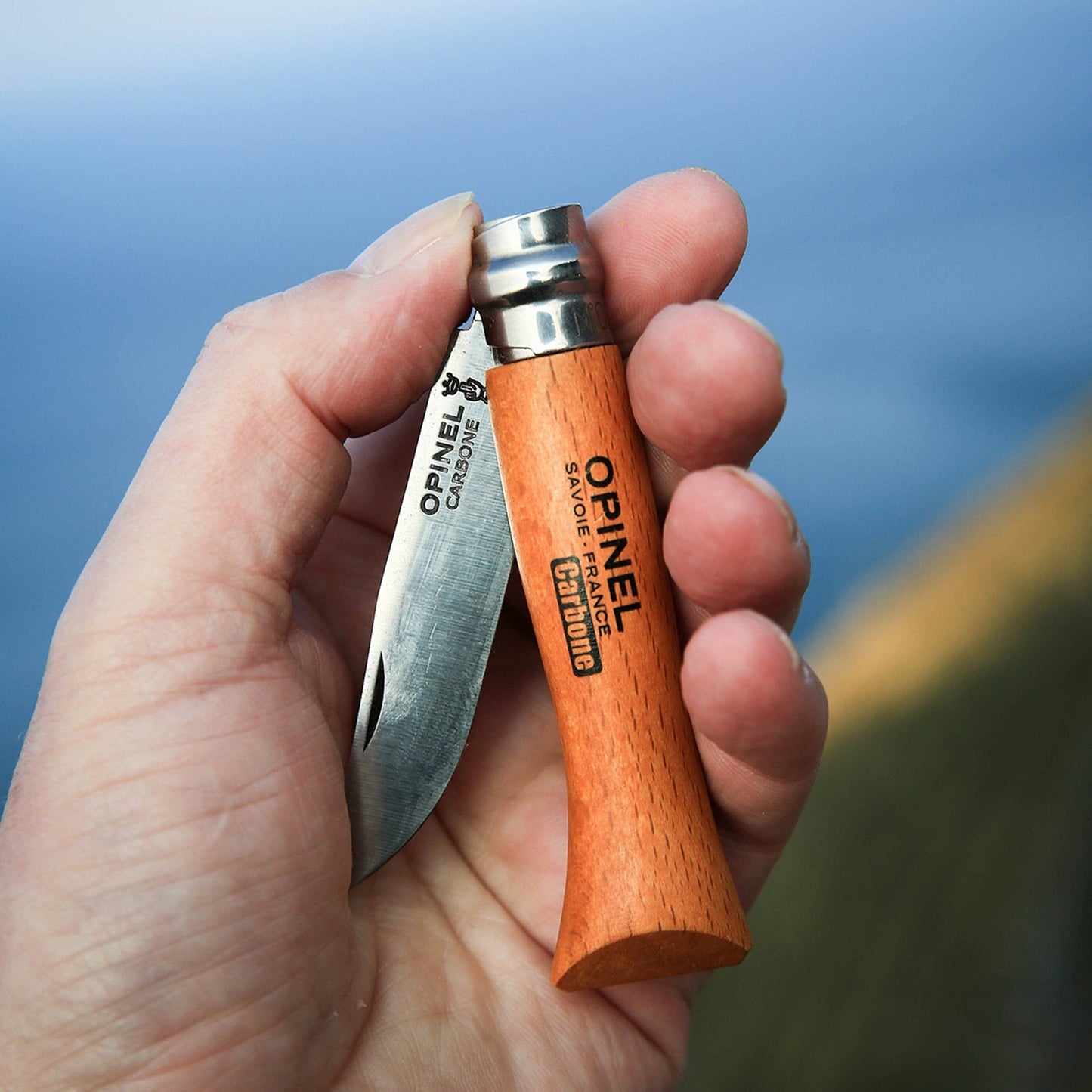 P30 Carbon Steel Knives - Assorted Sizes