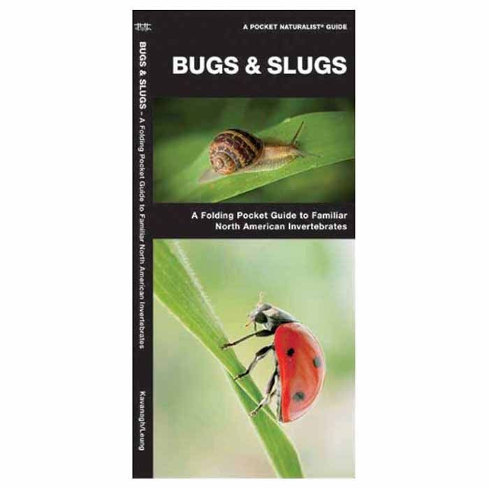 BUGS & SLUGS