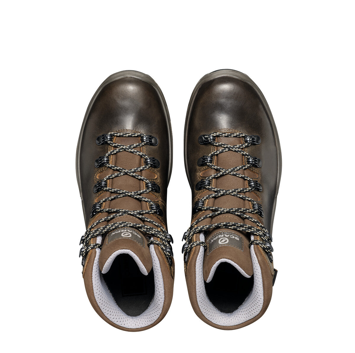 Terra GTX Women's
